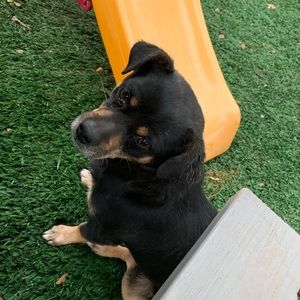 Meet your Posher, Vince